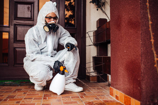 Reliable Wasp Removal contractor in Sutter Creek, CA by Show Me Pest Control